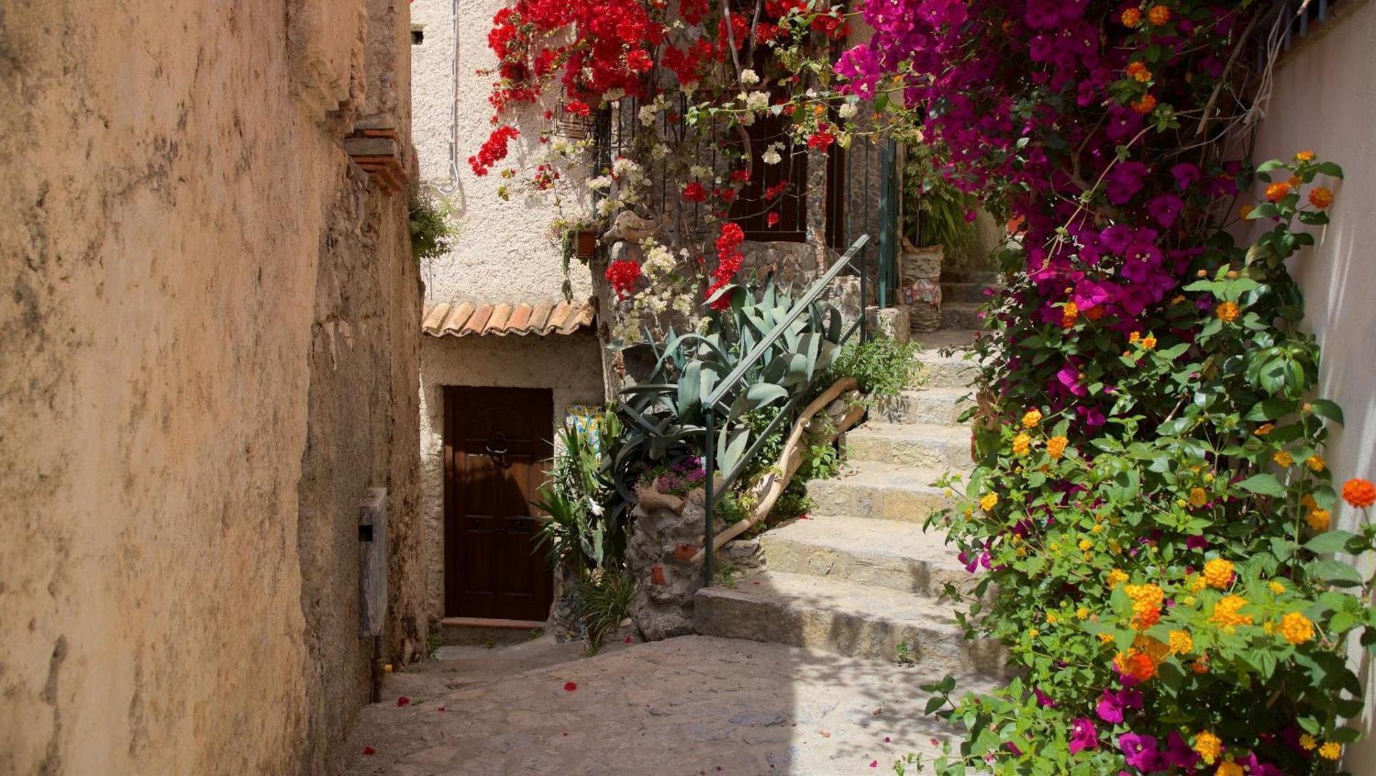 The Lemon Tree House Appartement Scalea Buitenkant foto