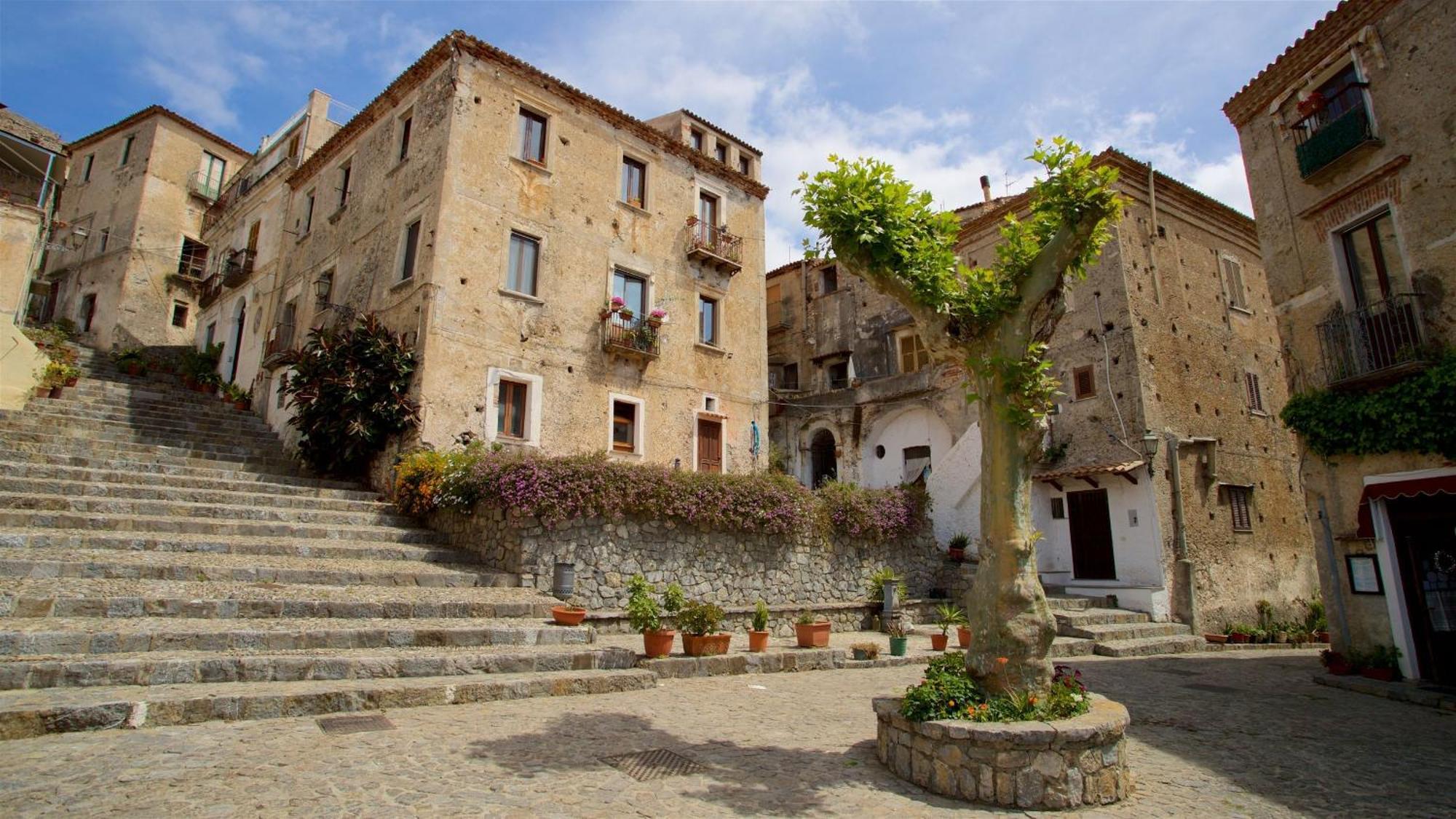 The Lemon Tree House Appartement Scalea Buitenkant foto