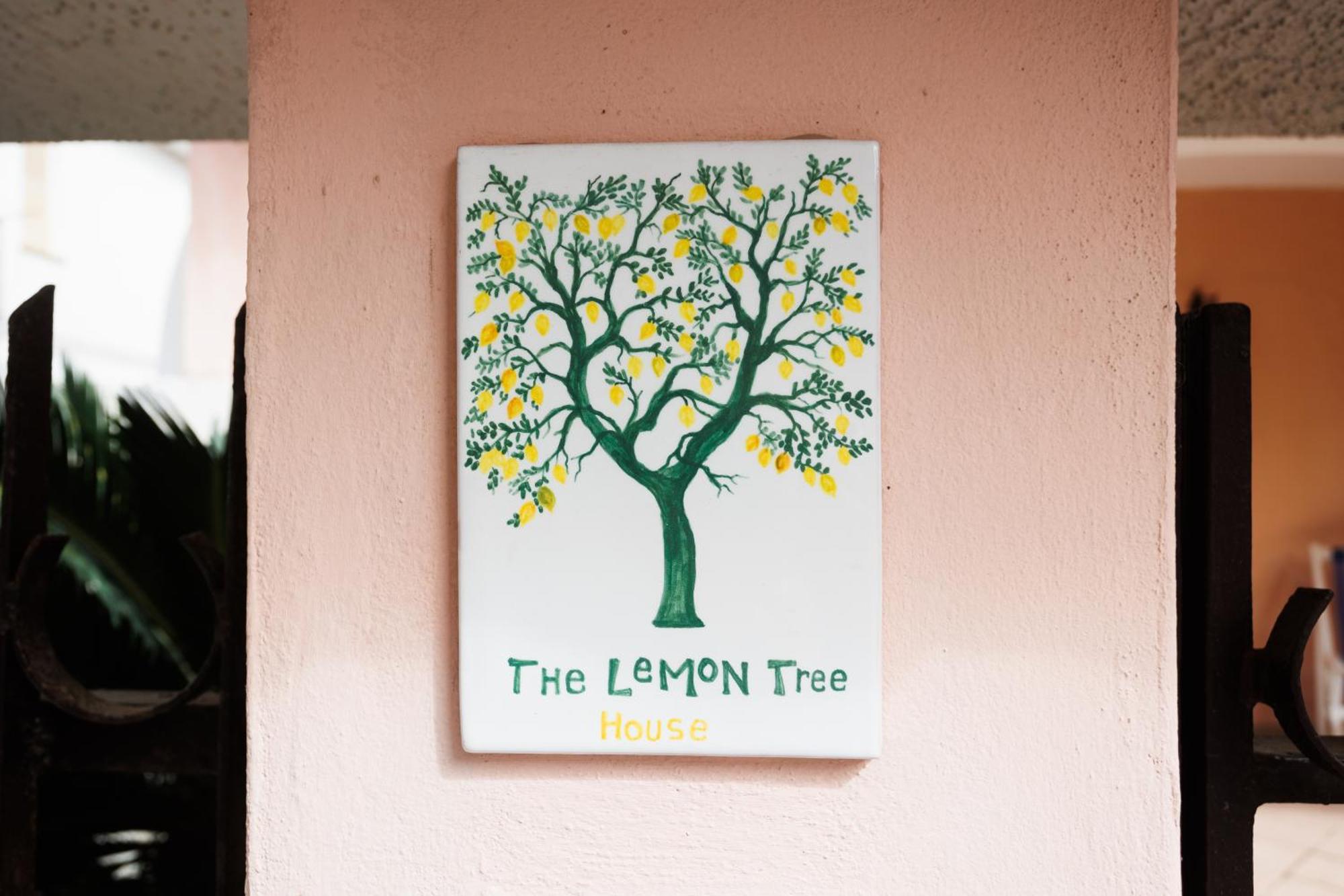 The Lemon Tree House Appartement Scalea Buitenkant foto